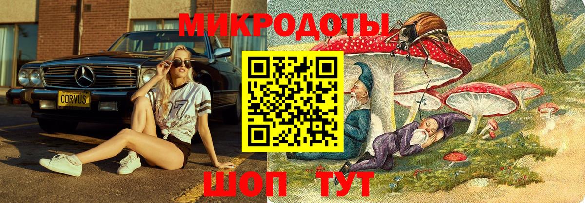 Самара  Псилоцибиновые грибы Psilocybe  Вход с VPN 